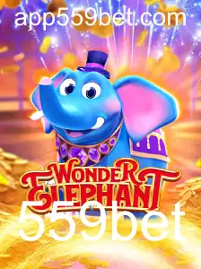 Explorando o Mundo de WonderElephant: Regras e Estratégias do Jogo